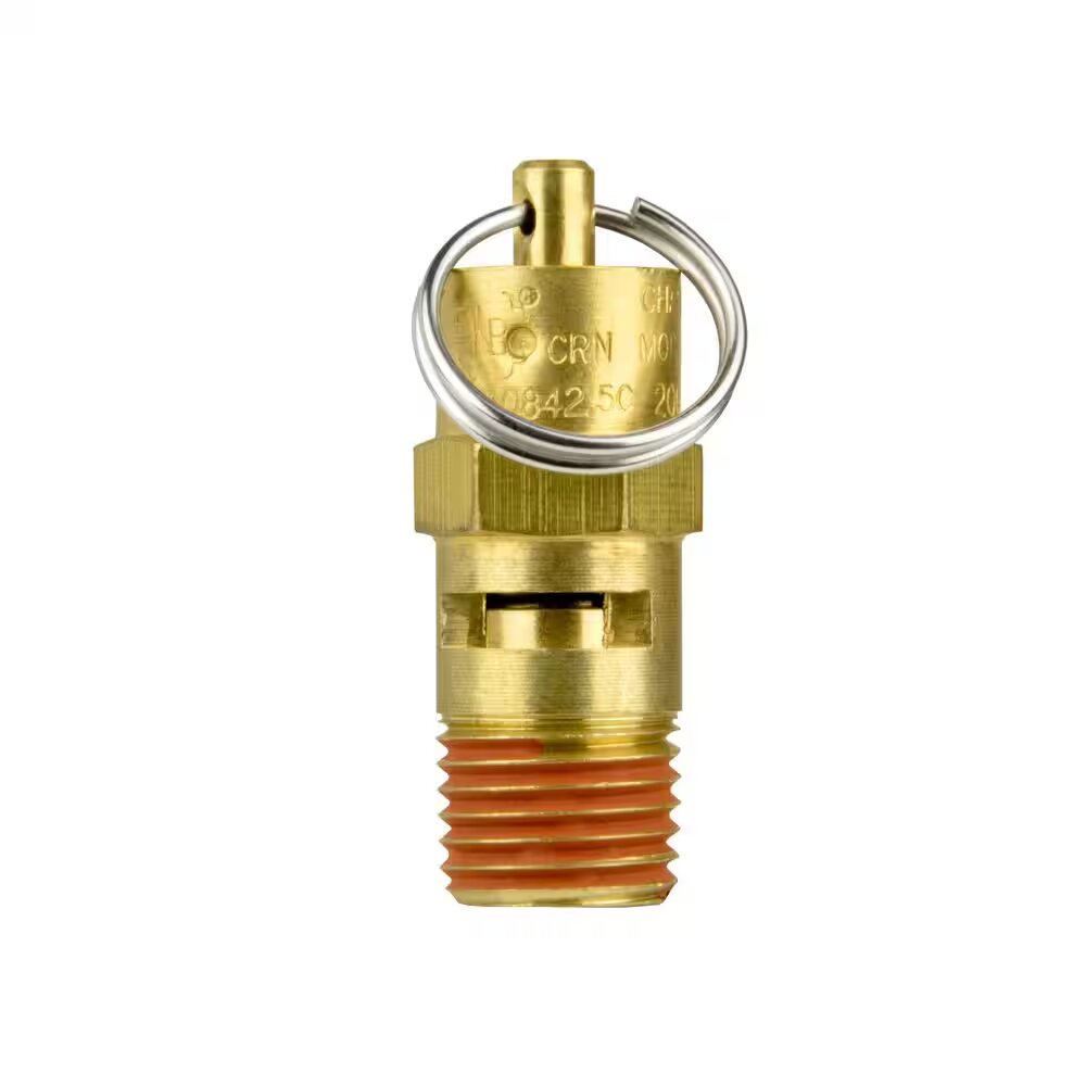 DEWALT  200 PSI ASME 2-Stage Pressure Relief Valve