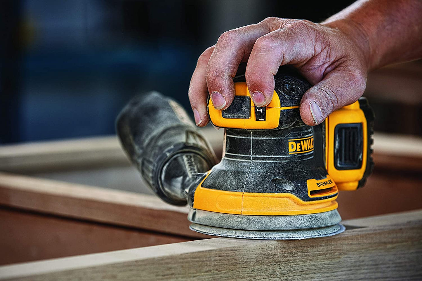 DEWALT  20V MAX XR Cordless Brushless 5 in. Random Orbital Sander (Tool Only)