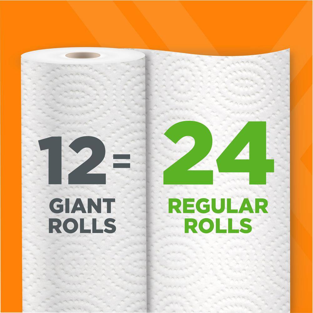 HDX Paper Towels (12-Roll)