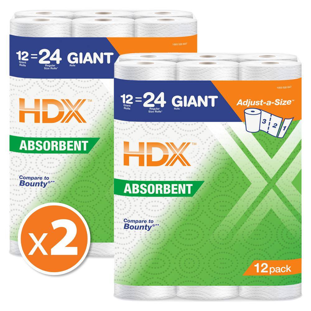 HDX Paper Towels (24-Roll)