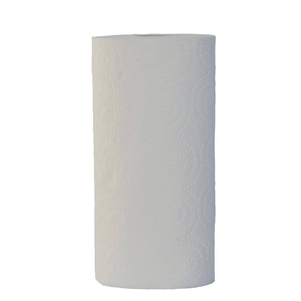 HDX Paper Towels (24-Roll)