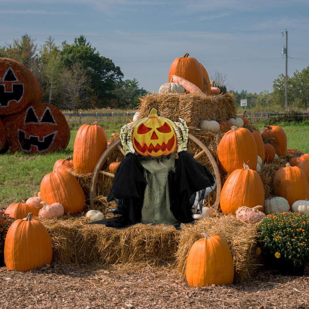 Haunted Hill Farm 25 in. Touch Activated Pop-Up Animatronic Pumpkin Head